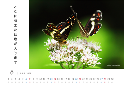 わたし暦 写真ワイド