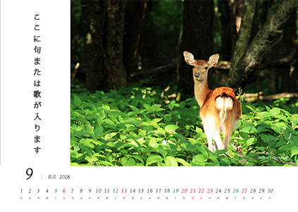 写真タテ向き・文字の位置　右（写真フチあり）