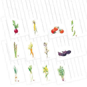 野菜のポストカード